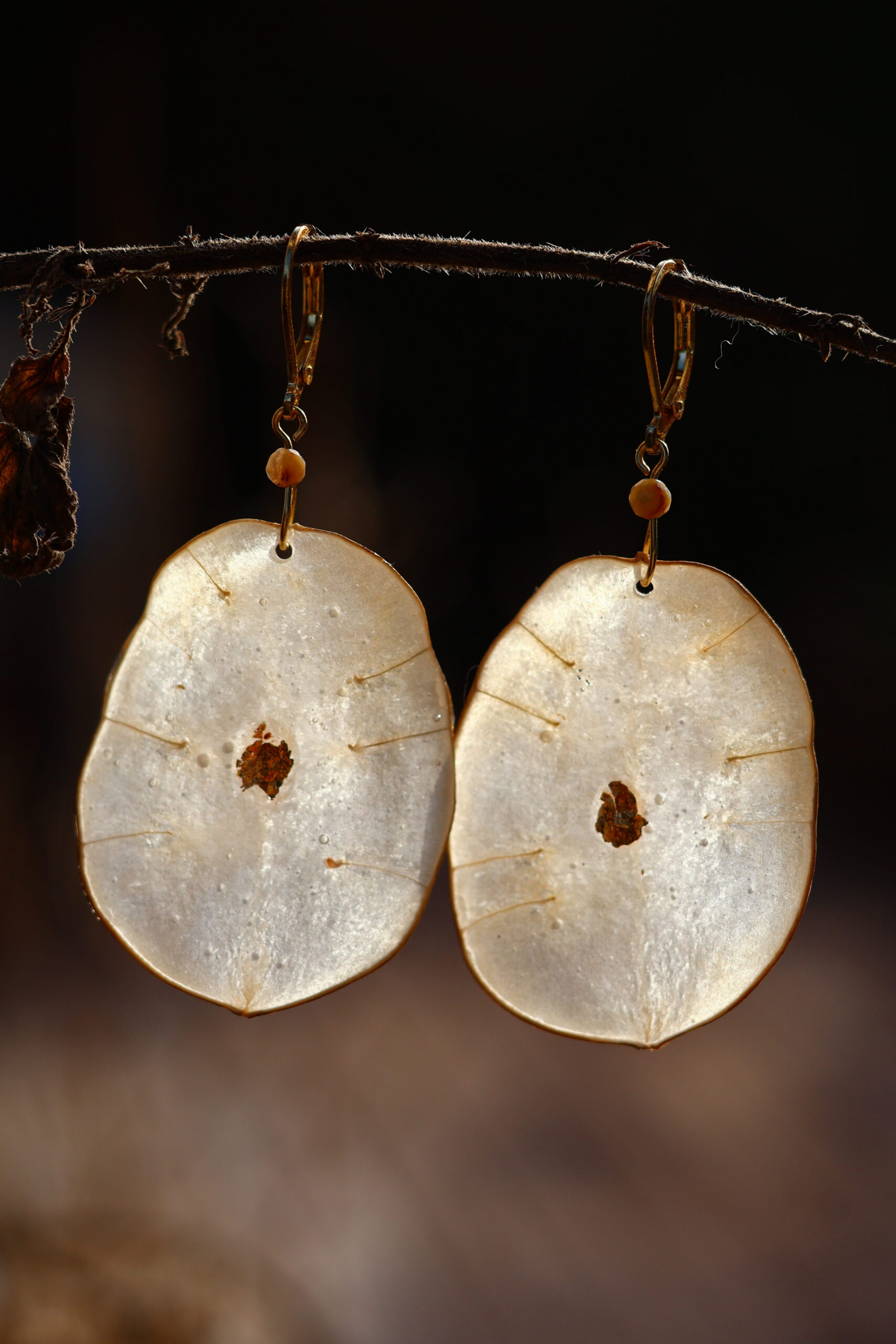 Boucles Lunaria